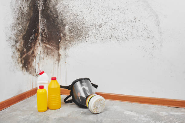 Best Mold Testing  in Marengo, IL