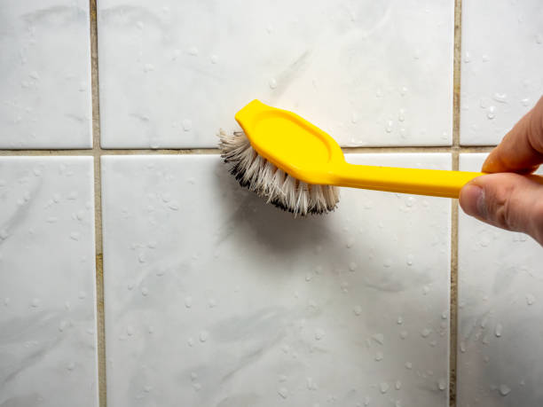 Mold Testing and Removal in Marengo, IL