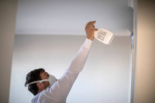 Mold Removal and Inspection in Marengo, IL