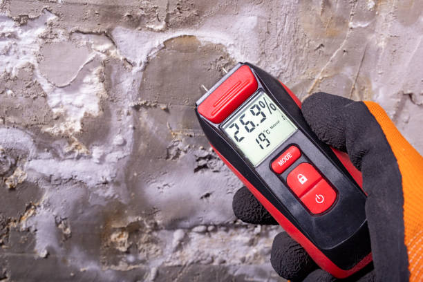 Best Attic Mold Removal  in Marengo, IL