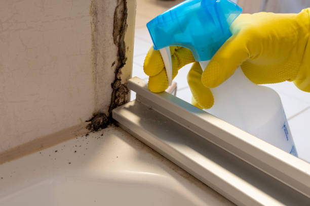 Best Crawl Space Mold Removal  in Marengo, IL