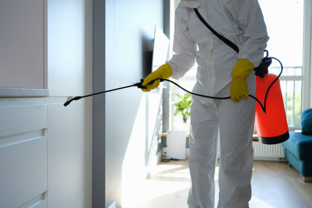 Best Commercial Mold Removal  in Marengo, IL