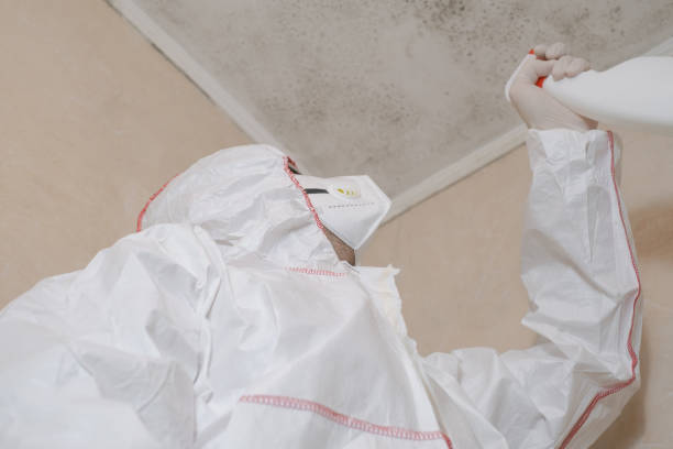 Best Toxic Mold Removal  in Marengo, IL