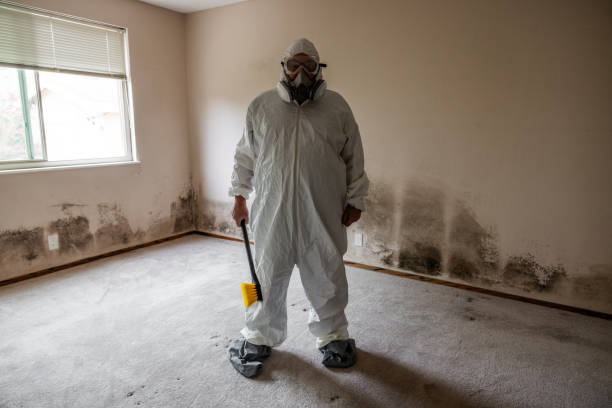 Best Certified Mold Removal  in Marengo, IL